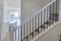 1000054815 1000054815